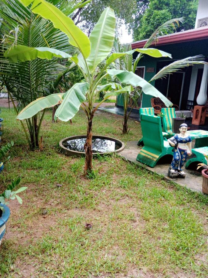 Sigiriya Second Hostel 시기리야 외부 사진