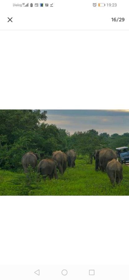 Sigiriya Second Hostel 시기리야 외부 사진