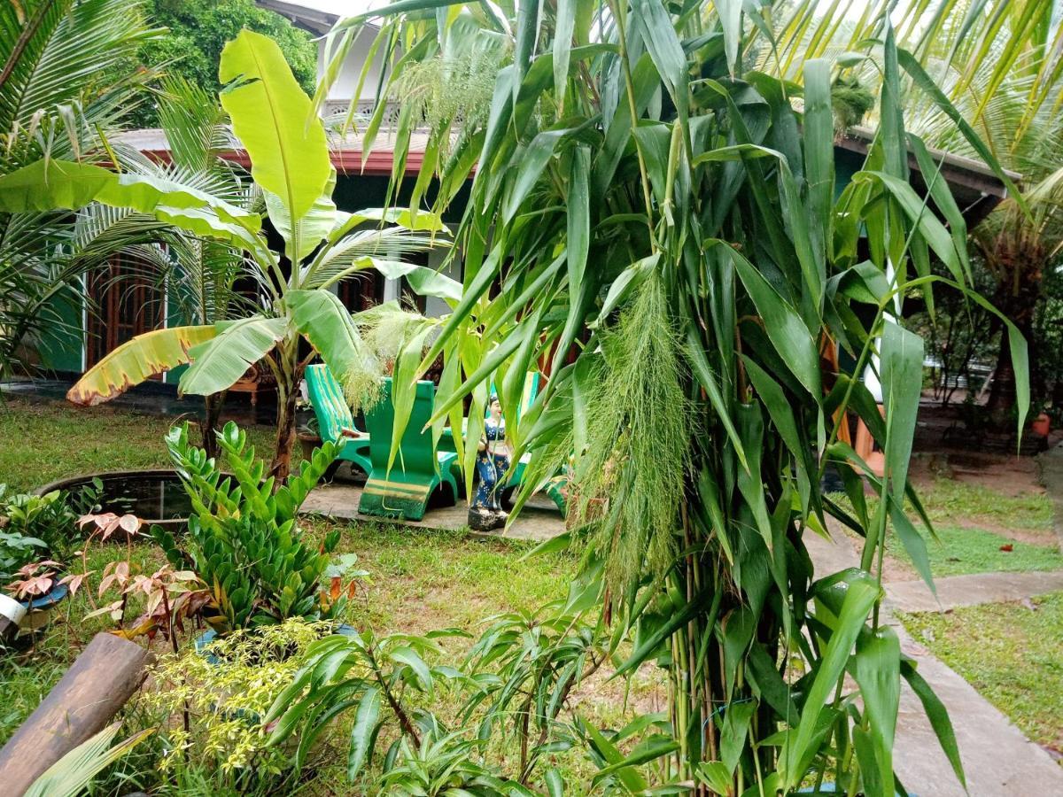 Sigiriya Second Hostel 시기리야 외부 사진